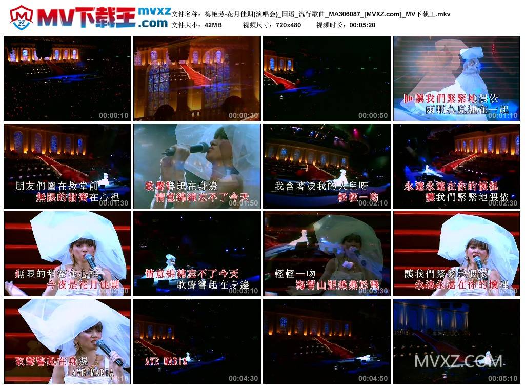 梅艳芳-花月佳期(演唱会)_国语_流行歌曲_MA306087